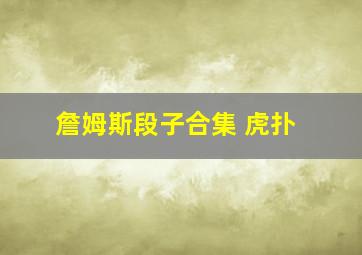 詹姆斯段子合集 虎扑